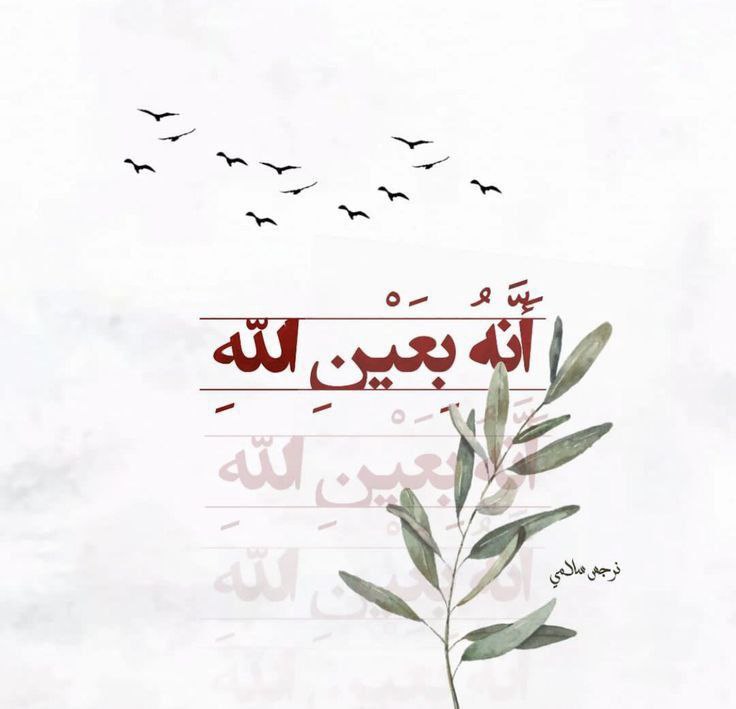 لا أحد يعلم